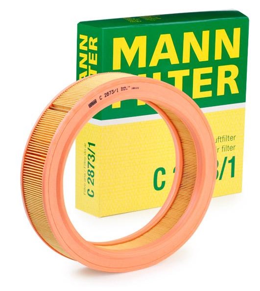 MANN-FILTER Luftfilter C 2873/1